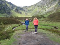 008  Corrie fee